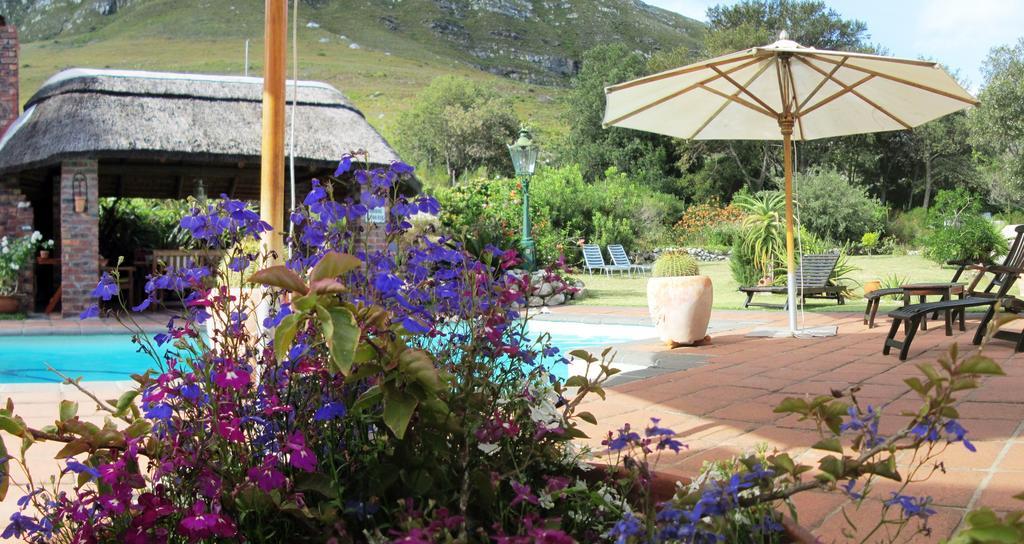 Von Abercron Residence Hermanus Oda fotoğraf